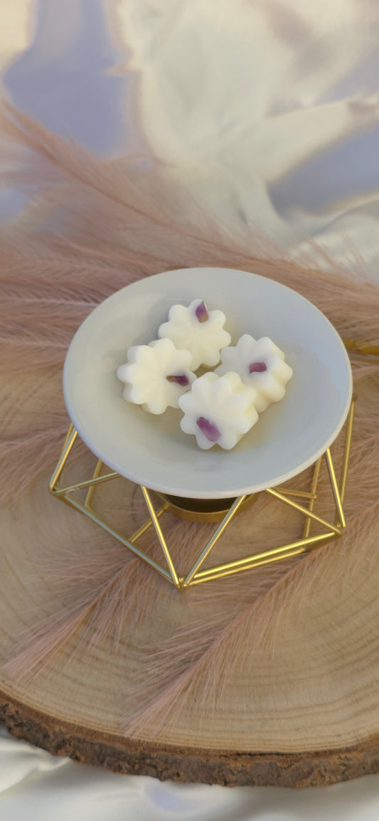 Meditation & Spa Wax Melts